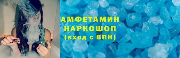 стаф Инта