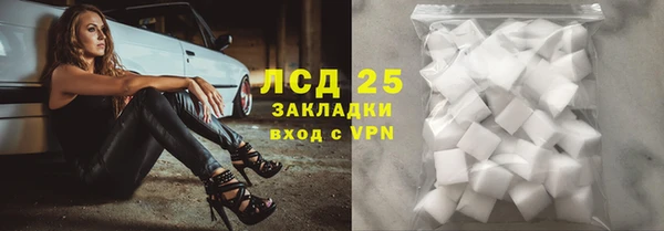 стаф Инта