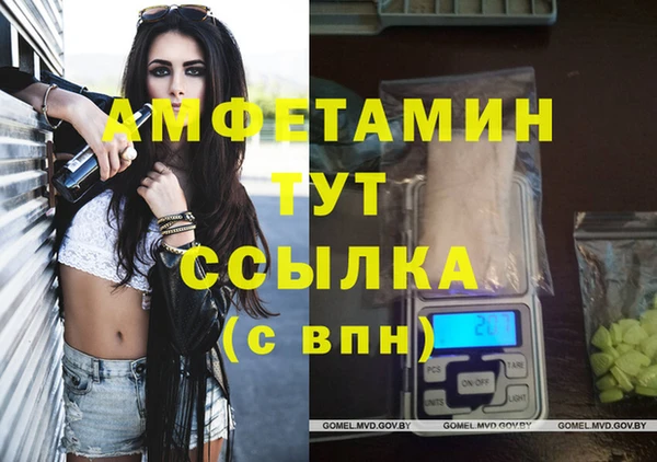 стаф Инта