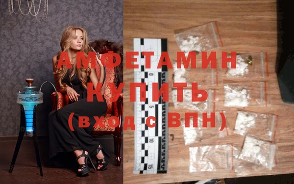 стаф Инта