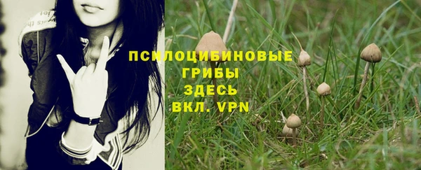 амф Киреевск