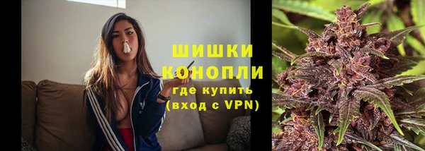 стаф Инта